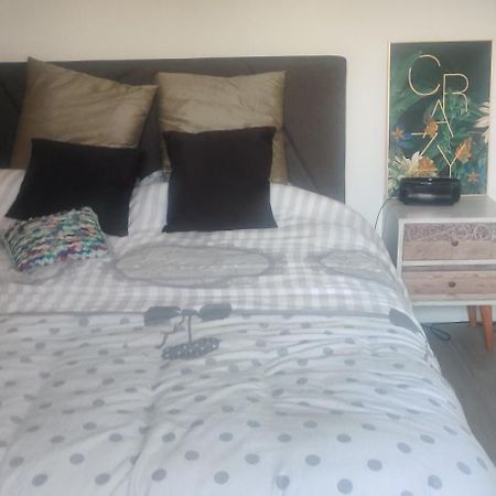 Logement Cosy Neuf Avec Jardin Mions エクステリア 写真