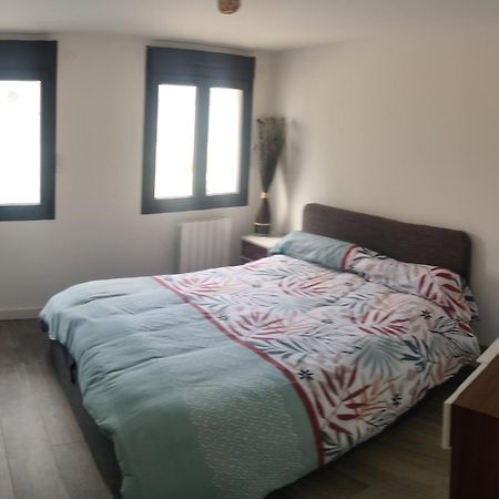 Logement Cosy Neuf Avec Jardin Mions エクステリア 写真